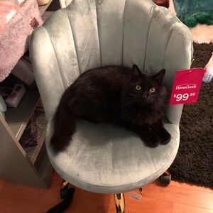 CURRENTLY ACCEPTING ANY OFFERS!!!